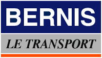 logo bernis